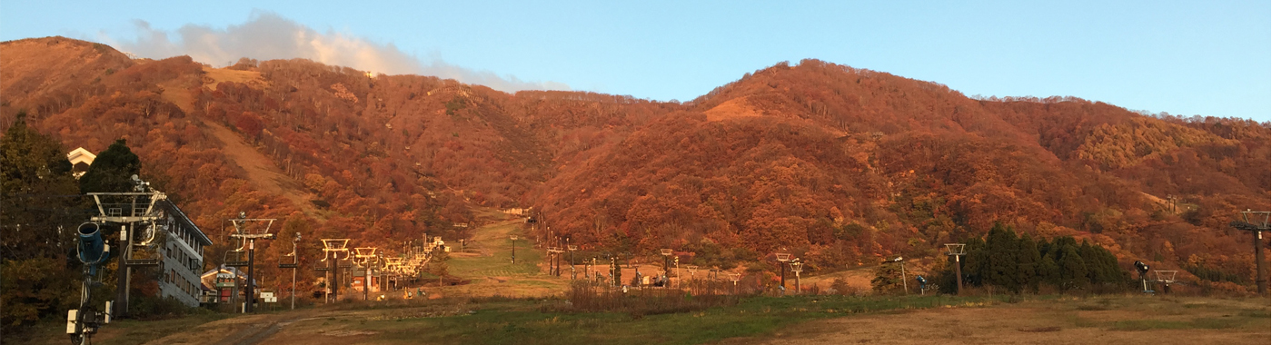 -アクセス・周辺情報-